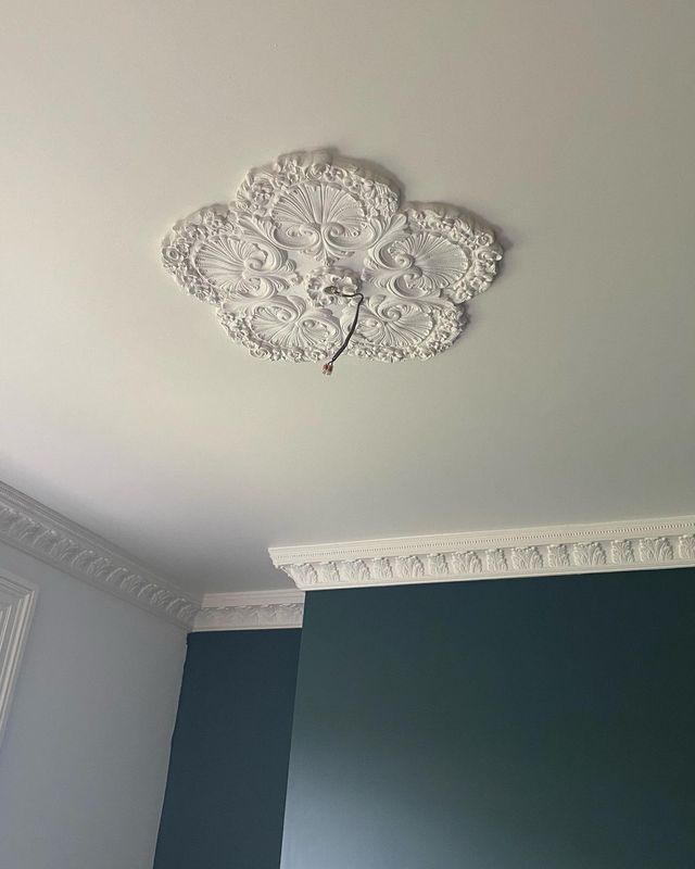 Plaster rose ceiling detail in the dining room