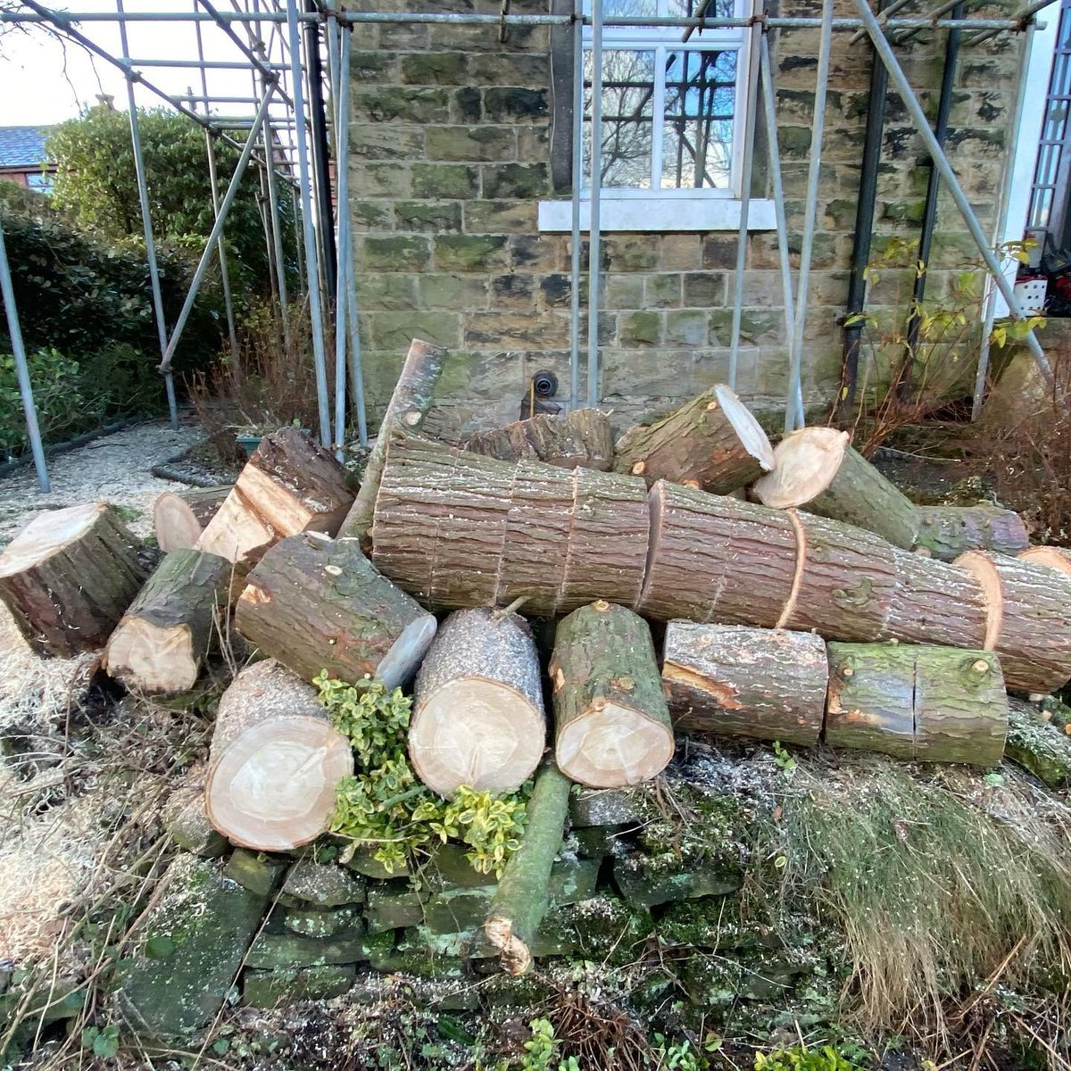 The view, before and after the conifer was removed (2/4)