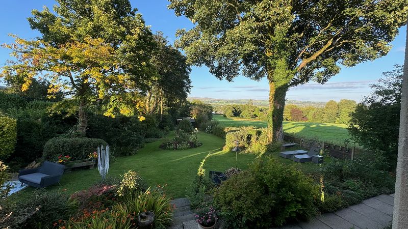Garden in evening light